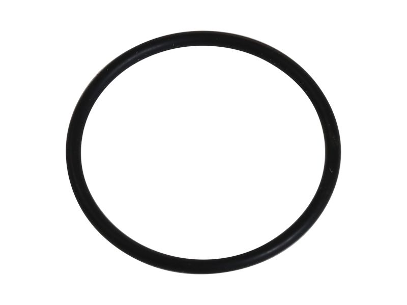 097-5204: Differential O-ring Seal 0975204 купить