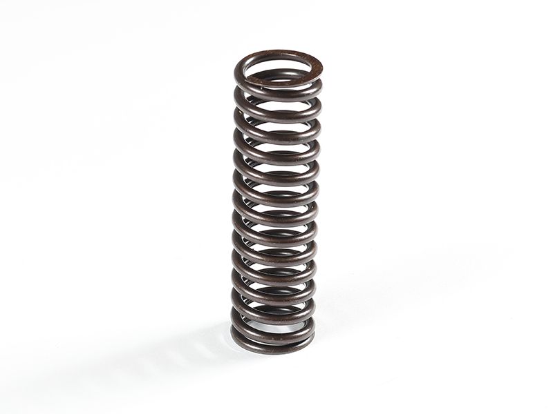100-3409: Hydraulic Piston Pump Bias Spring 1003409 купить