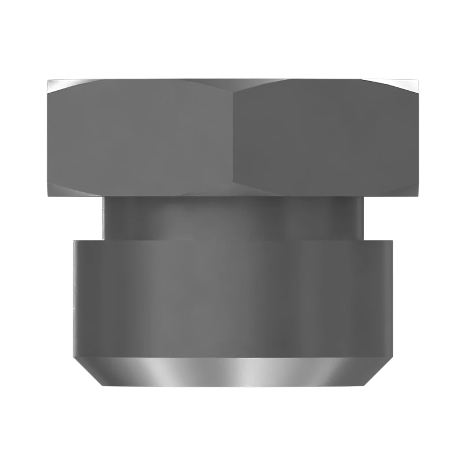 123-2919: M11 X 1mm Hex Cap Nut 1232919 купить