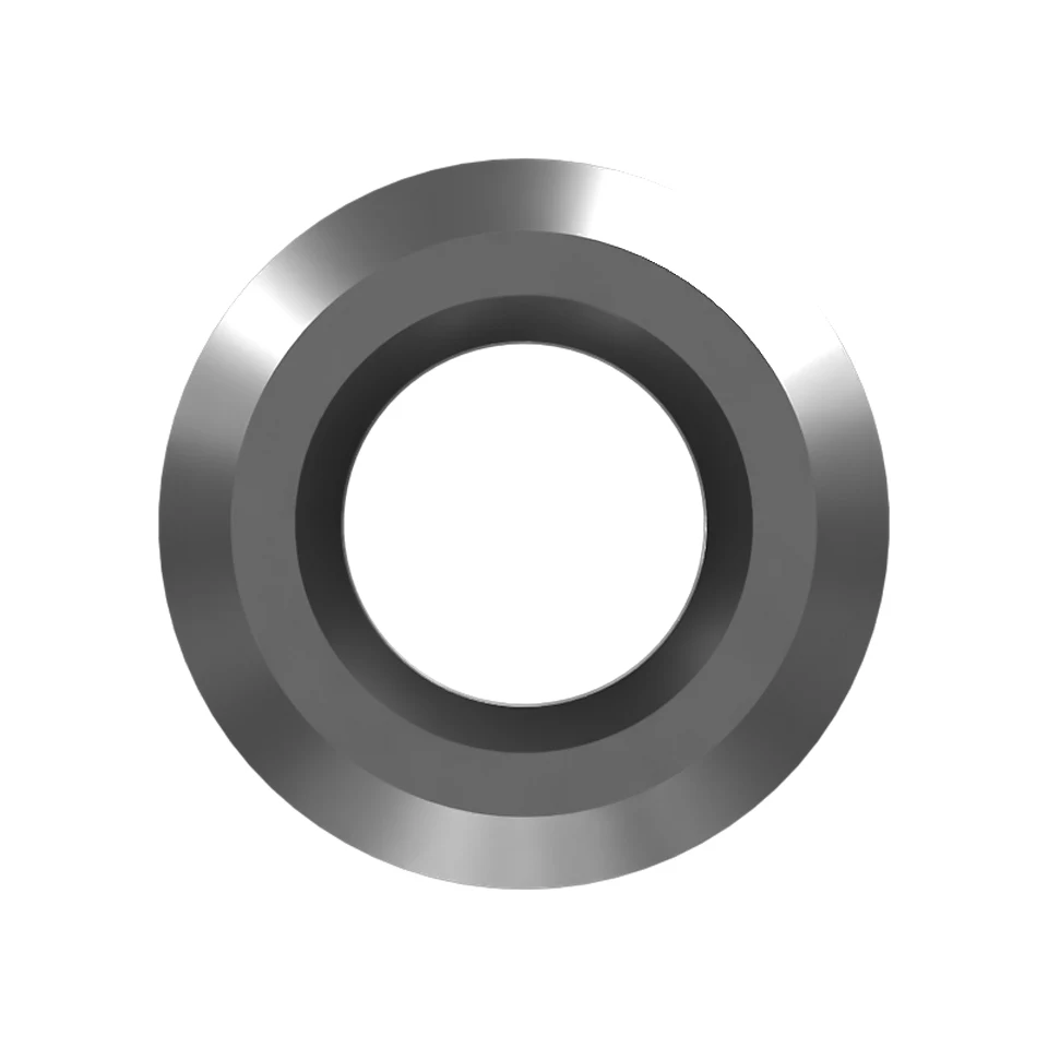 123-5787: Check Valve Seat 1235787 купить