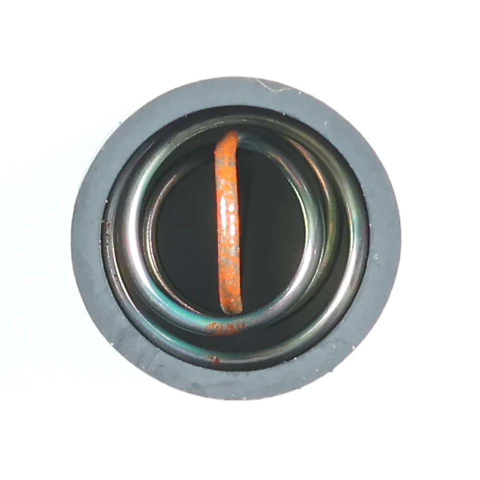 131-7847: Fuel Injection Pump Governor Spring 1317847 купить