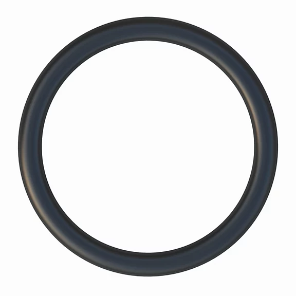 152-2938: SEAL-O-RING 1522938 купить