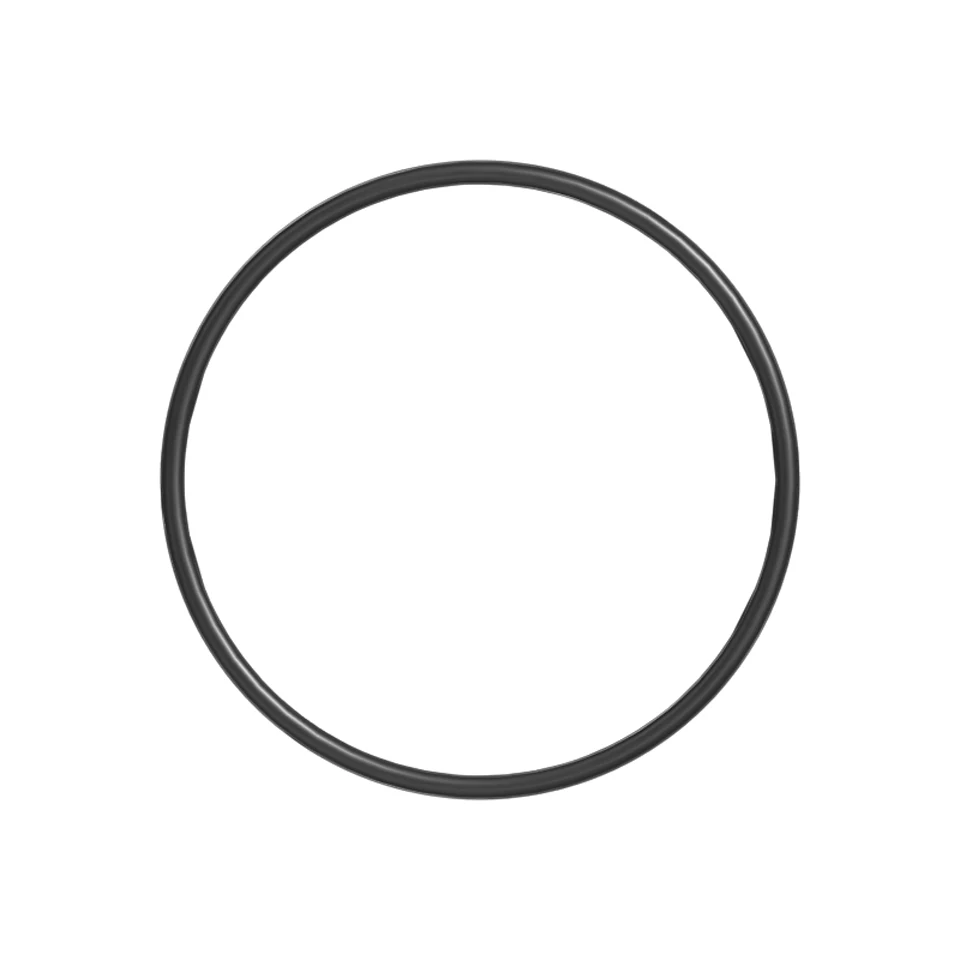 163-7373: 317.13mm Inner Diameter Rubber Toric Ring 1637373 购买