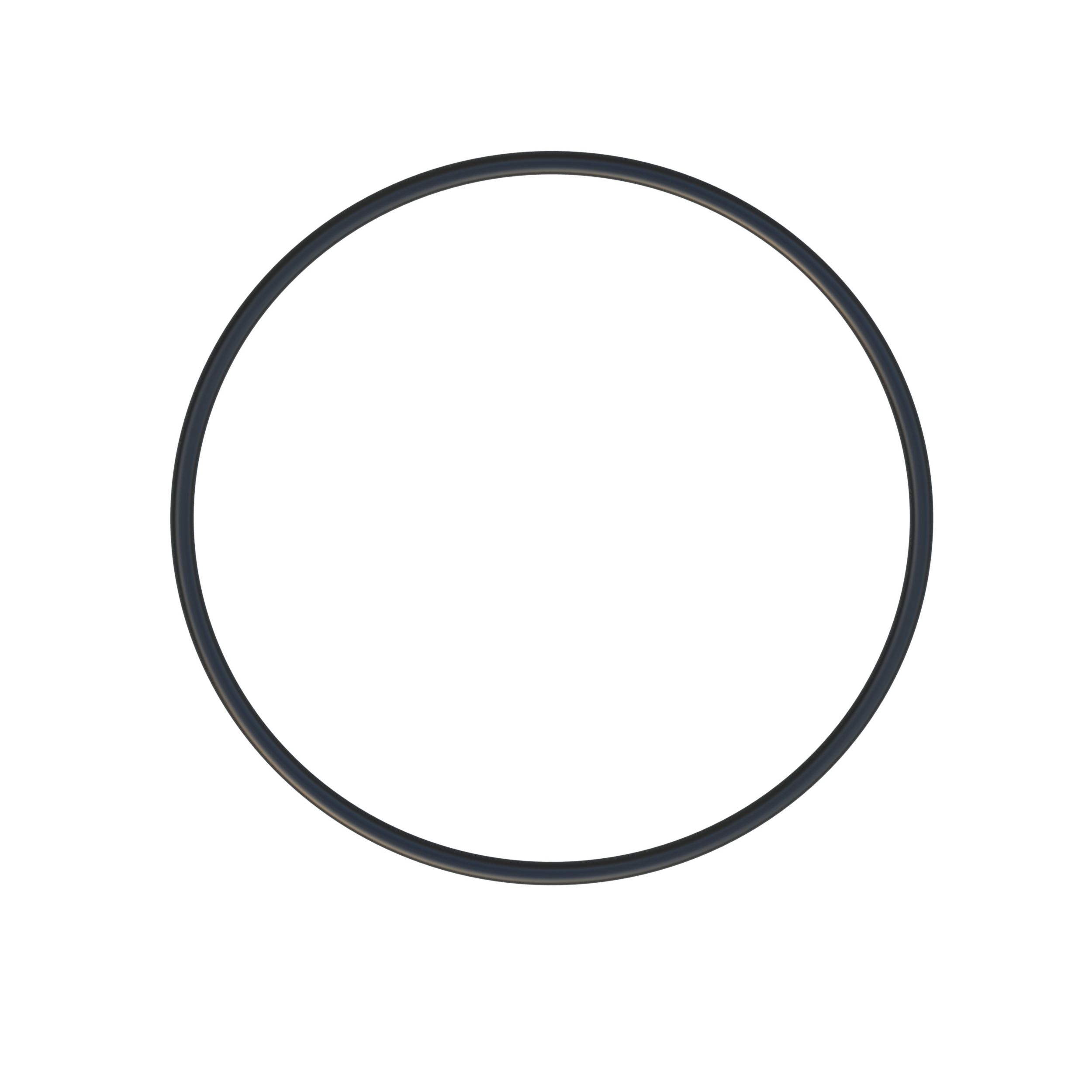 164-5039: 574mm Inner Diameter Seal O Ring 1645039 купить