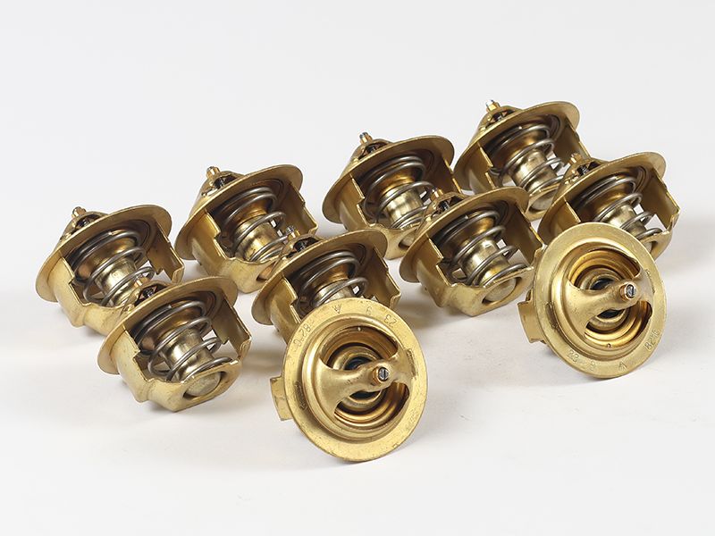 199-2248: Thermostat Regulator 1992248 купить