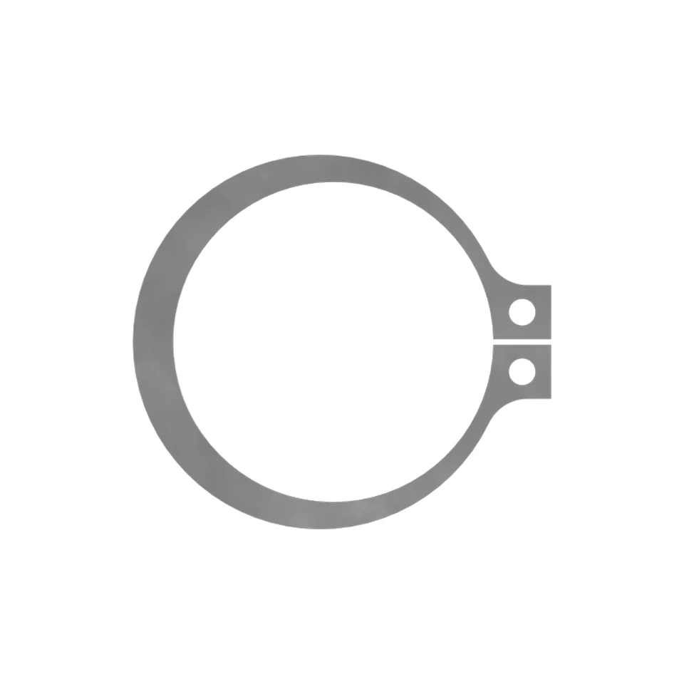 1S-6106: Ring-retaining 1S6106 купить