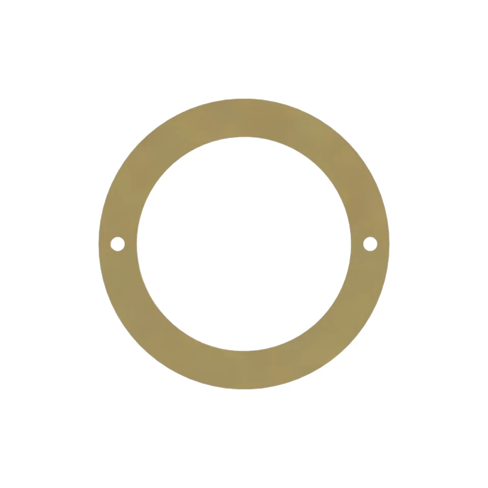 202-1196: Специальная шайба с 2 отверстиями 2021196 купить