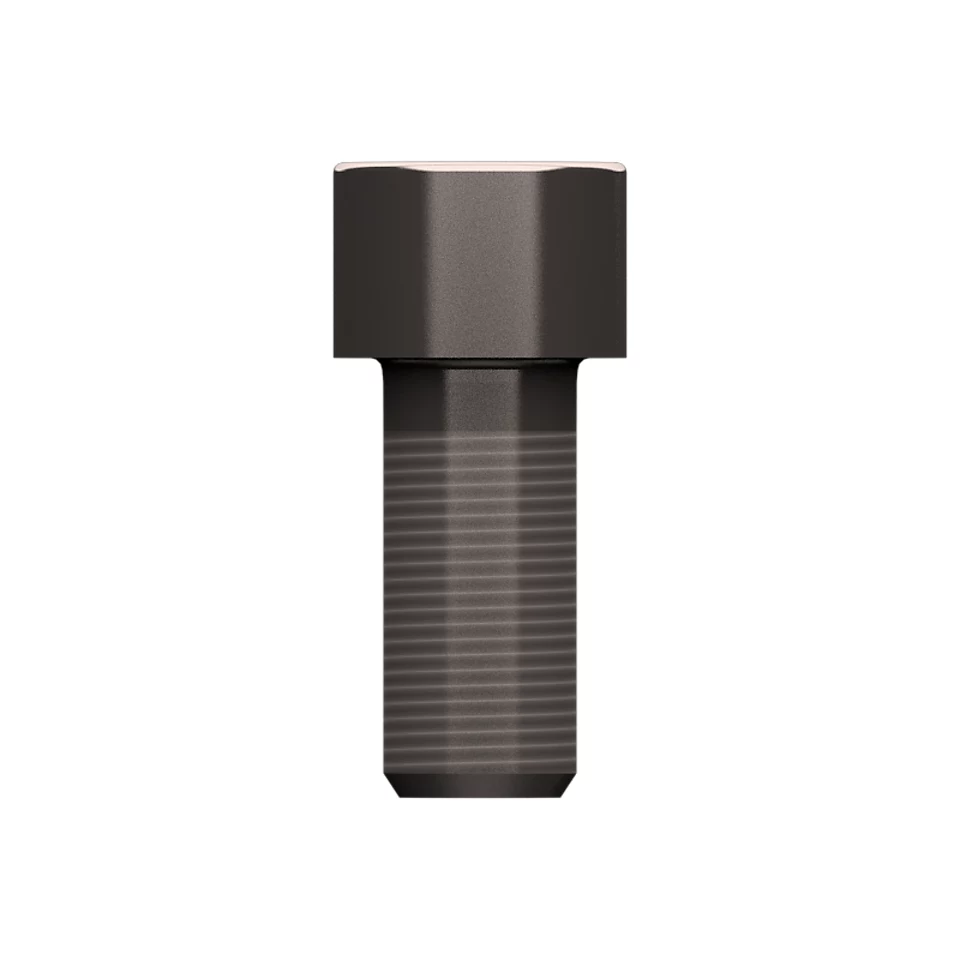 216-8311: M20-2.5 X 45mm Hex Socket Head Bolt 2168311 купить