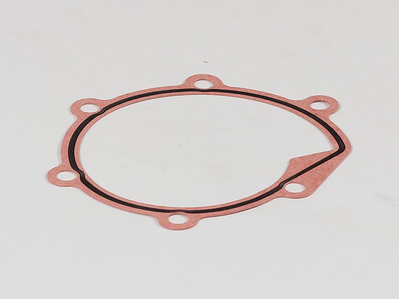 223-0297: Water Pump Gasket 2230297 купить
