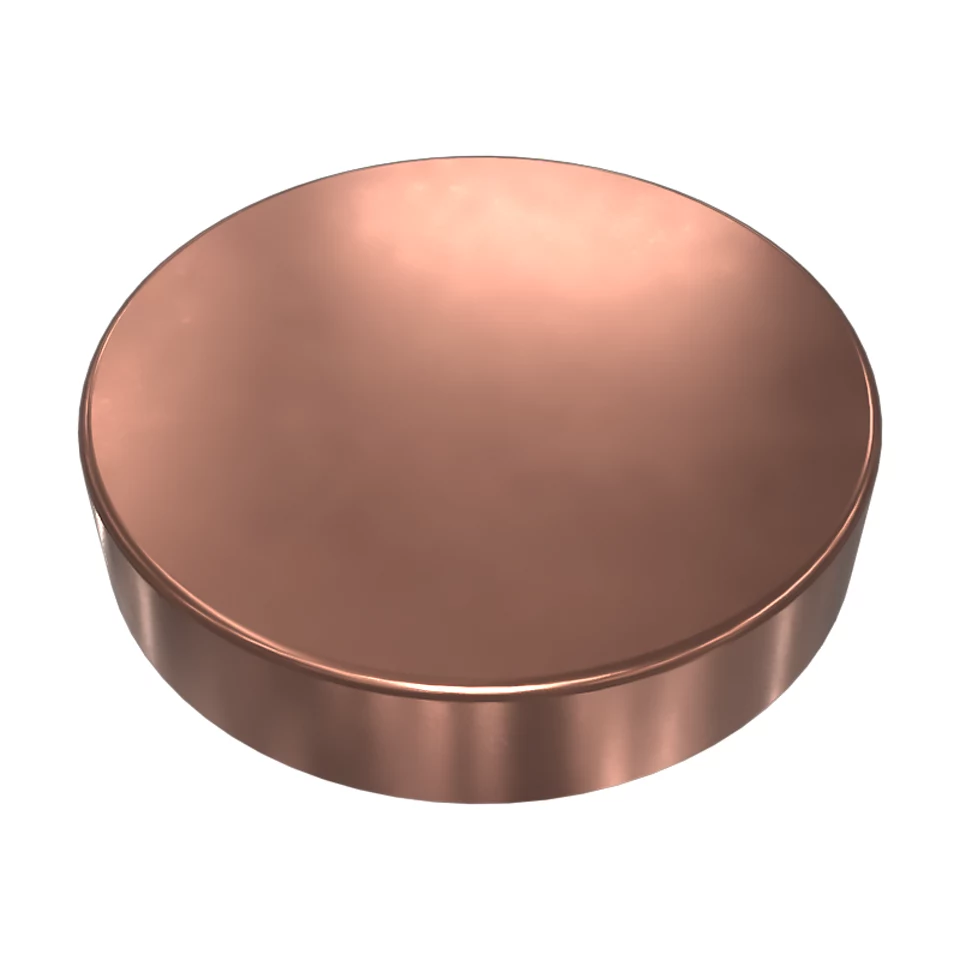 233-9828: CAP 2339828 купить