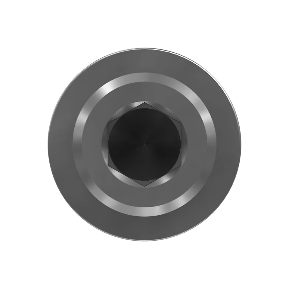 243-3425: SCREW 2433425 купить