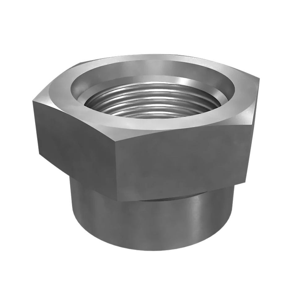 246-0663: 1 7/8'' Straight Thread O-ring Plug 2460663 купить