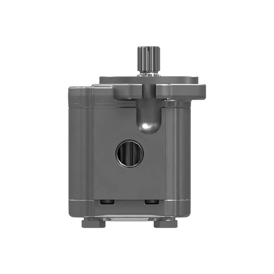 258-2555: One Section Gear Pump 2582555 купить