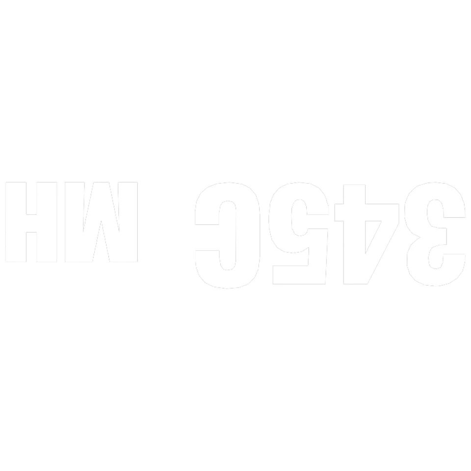 301-4893: НАКЛЕЙКА 345C MH 3014893 купить