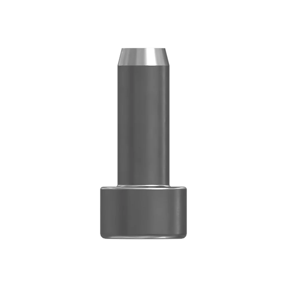 385-9087: M6 Hex Socket Head Special Screw 3859087 купить