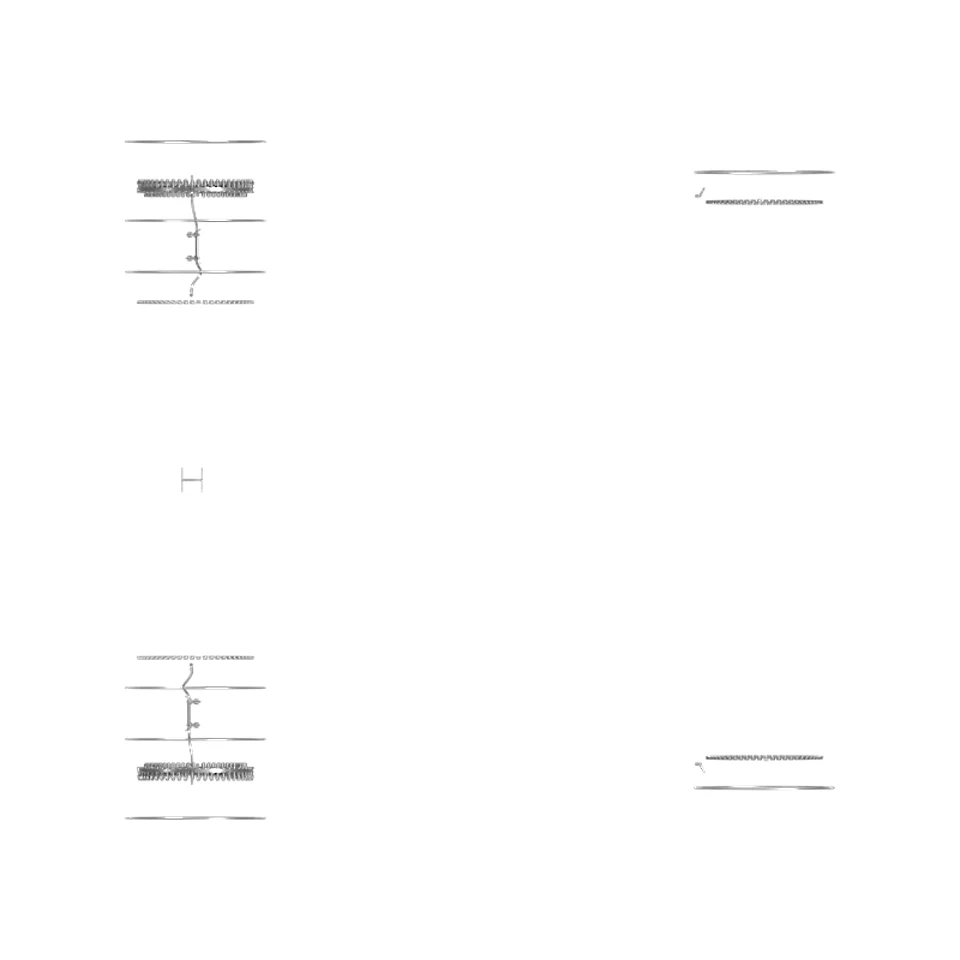 388-7507: BUSH 3887507 купить