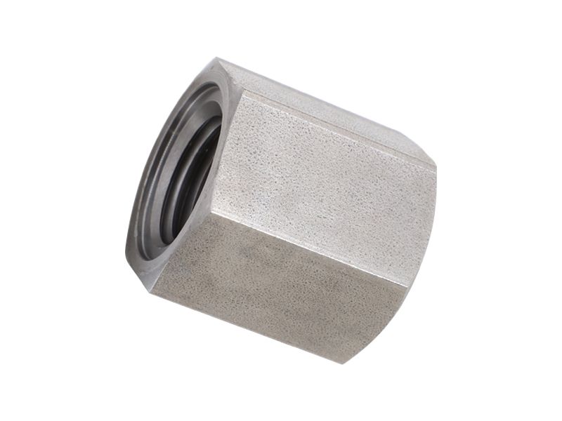 448-0096: CAP 4480096 купить