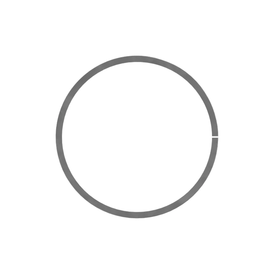 454-9569: Piston Ring 4549569 купить