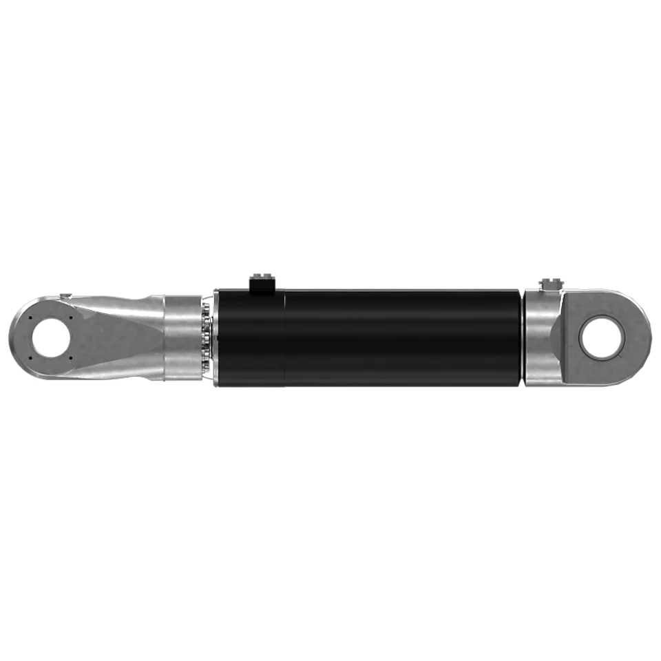 459-2050: 705mm Stroke Hydraulic Cylinder 4592050 购买