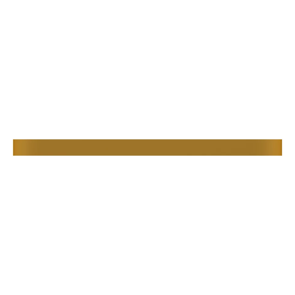 466-2204: ПЛАСТИНА ИЗНОСНАЯ 4662204 купить