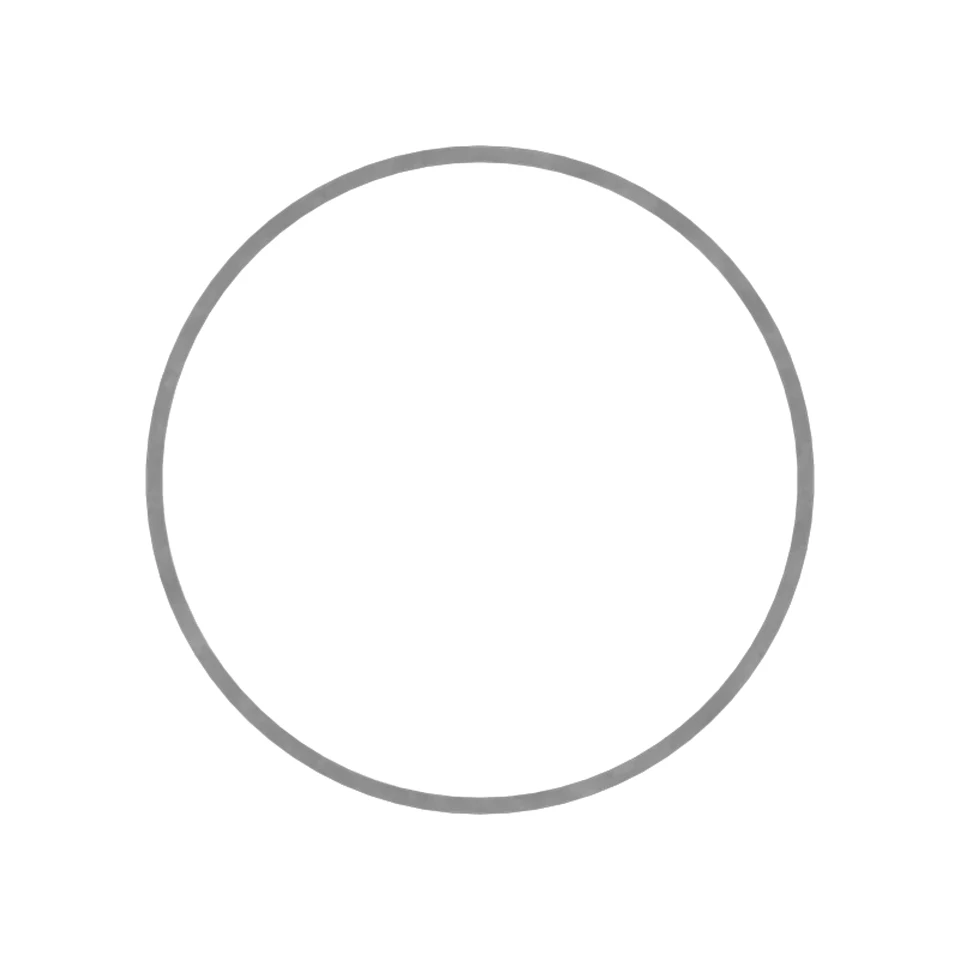 474-7924: RING-BACKUP 4747924 купить