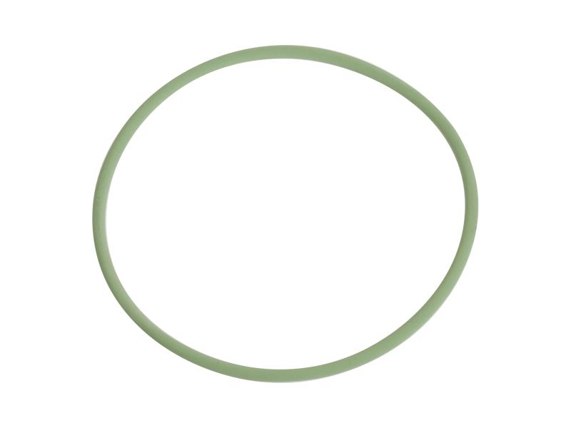485-9981: УПЛОТНИТЕЛЬНОЕ КОЛЬЦО 4859981 купить