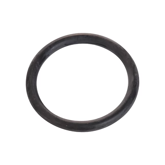 488-0244: O-ring 4880244 купить