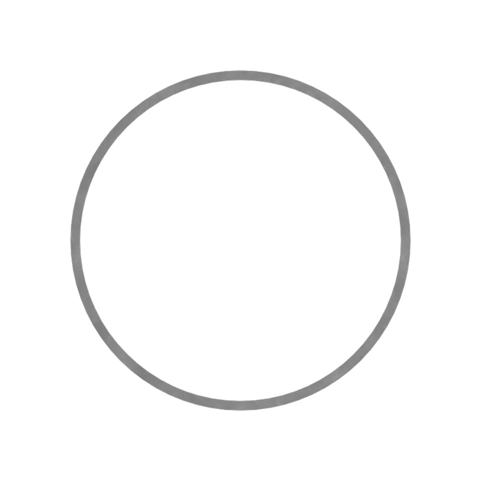 494-1781: RING-BACKUP 4941781 купить