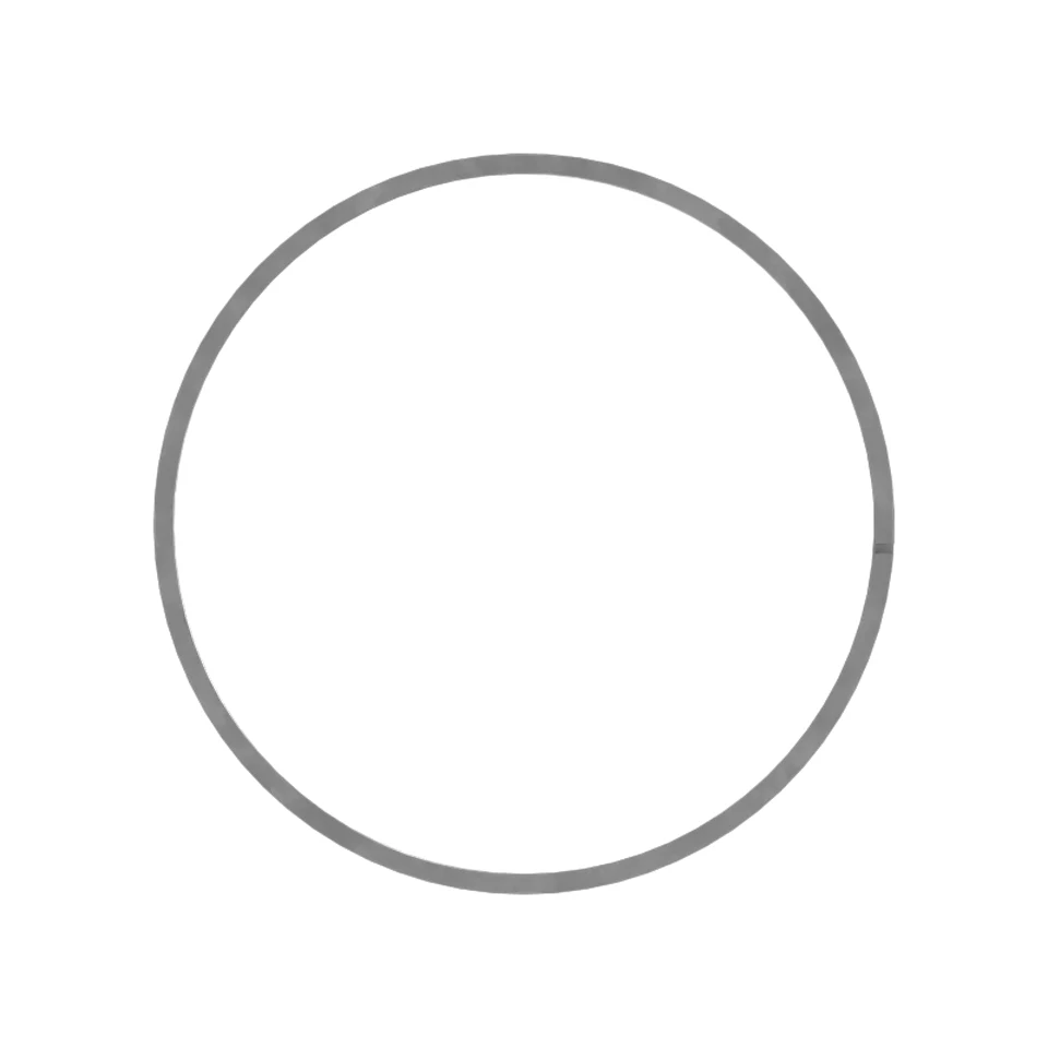 496-2945: SEAL-CTMN 4962945 купить
