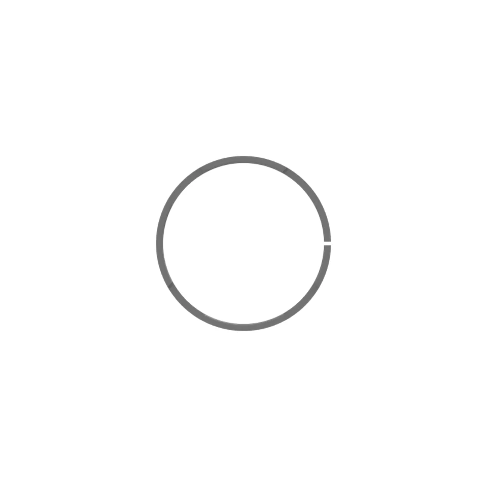 568-1095: RING-SEAL 5681095 купить