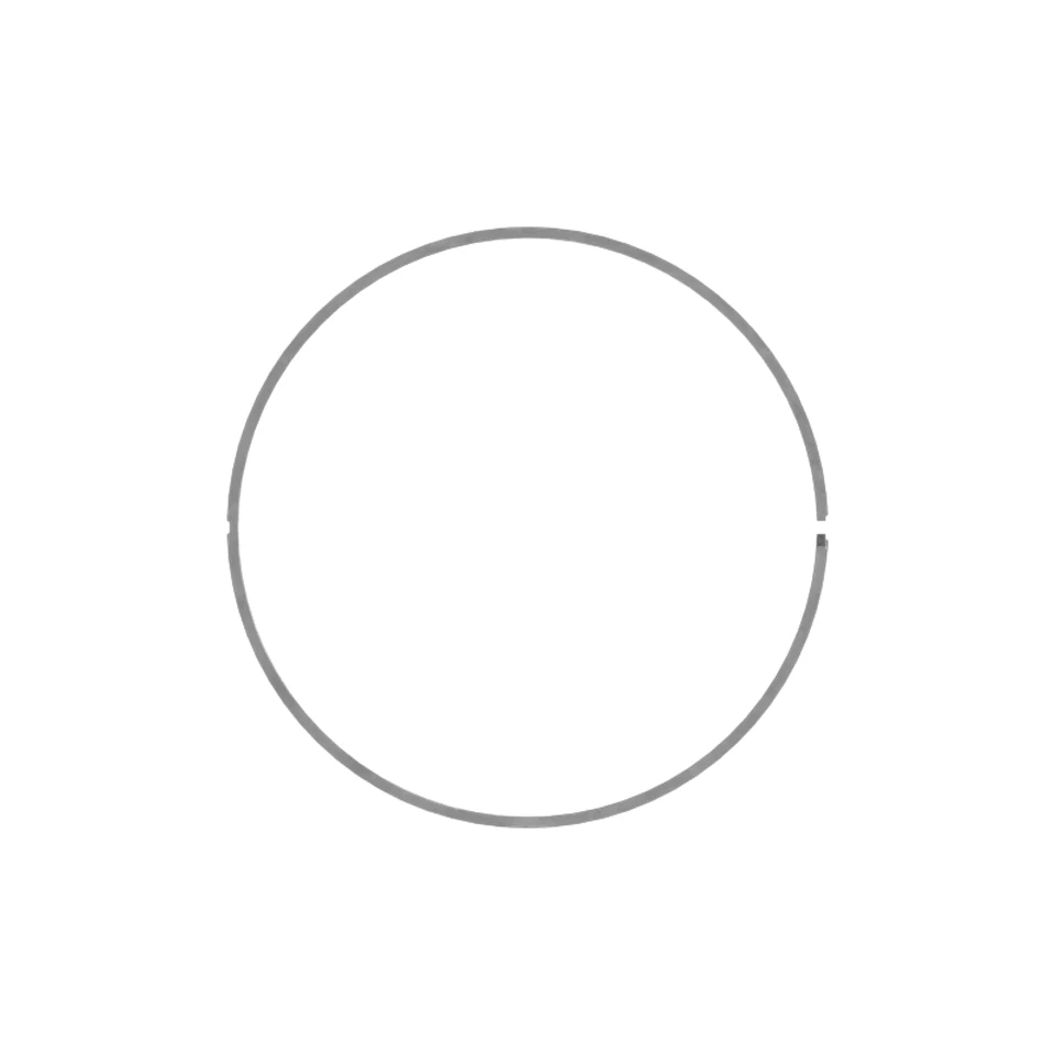 569-0092: 217mm Inner Diameter Piston Wear Ring 5690092 buy