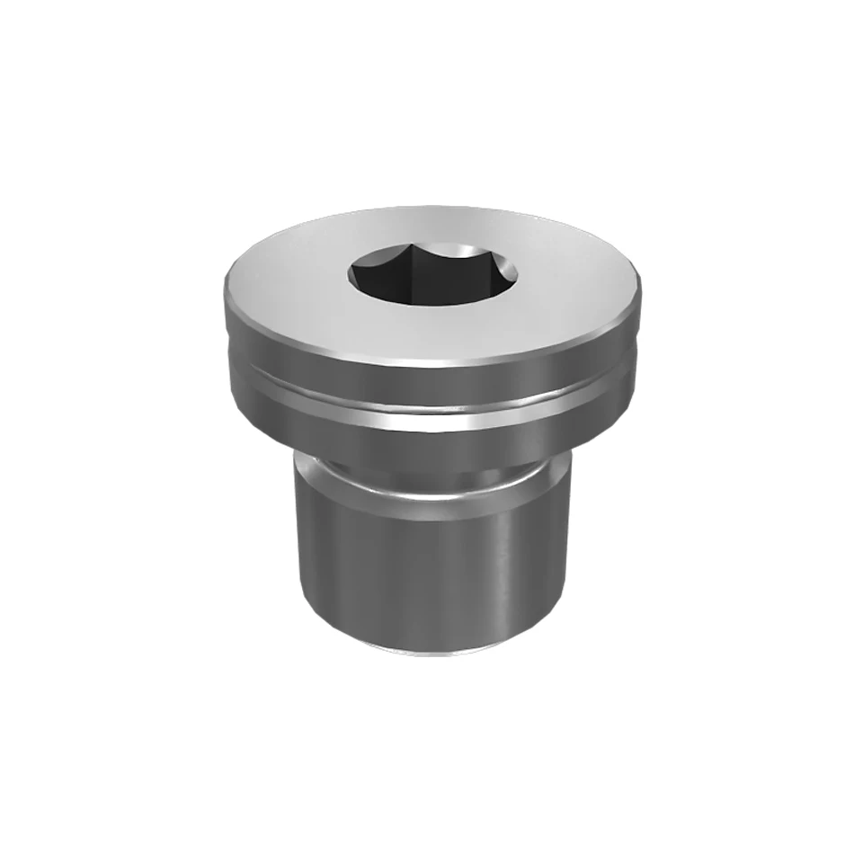 595-1065: M12 Internal Hex Head Water Pump Housing Plug 595-1065 Caterpillar