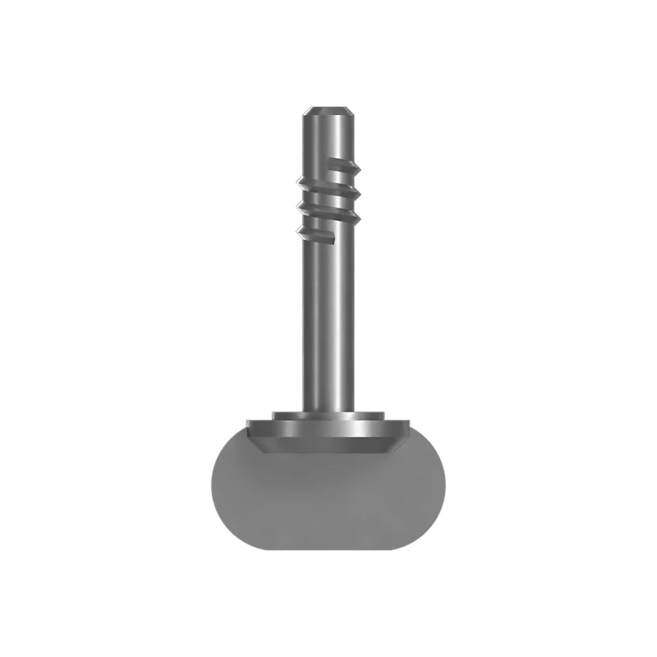 5T-2209: Lead Captive Screw 5T2209 购买