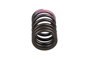 6204-41-4410: ПРУЖИНА КЛАПАНА 6204414410 купить