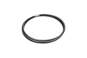 6240-31-2030: Piston Ring Assembly 6240312030 купить