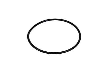 6742-01-0920: O-RING 6742010920 купить