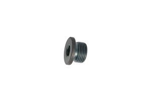 TZ810B2021-00: ЗАГЛУШКА TZ810B202100 купить