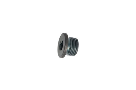 TZ810B2021-00: ЗАГЛУШКА TZ810B202100 купить