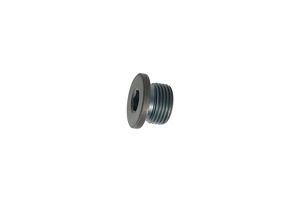 TZ810B2021-00: ЗАГЛУШКА TZ810B202100 купить
