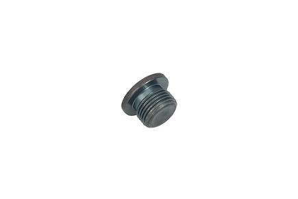 TZ810B2021-00: ЗАГЛУШКА TZ810B202100 купить