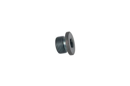 TZ810B2021-00: ЗАГЛУШКА TZ810B202100 купить