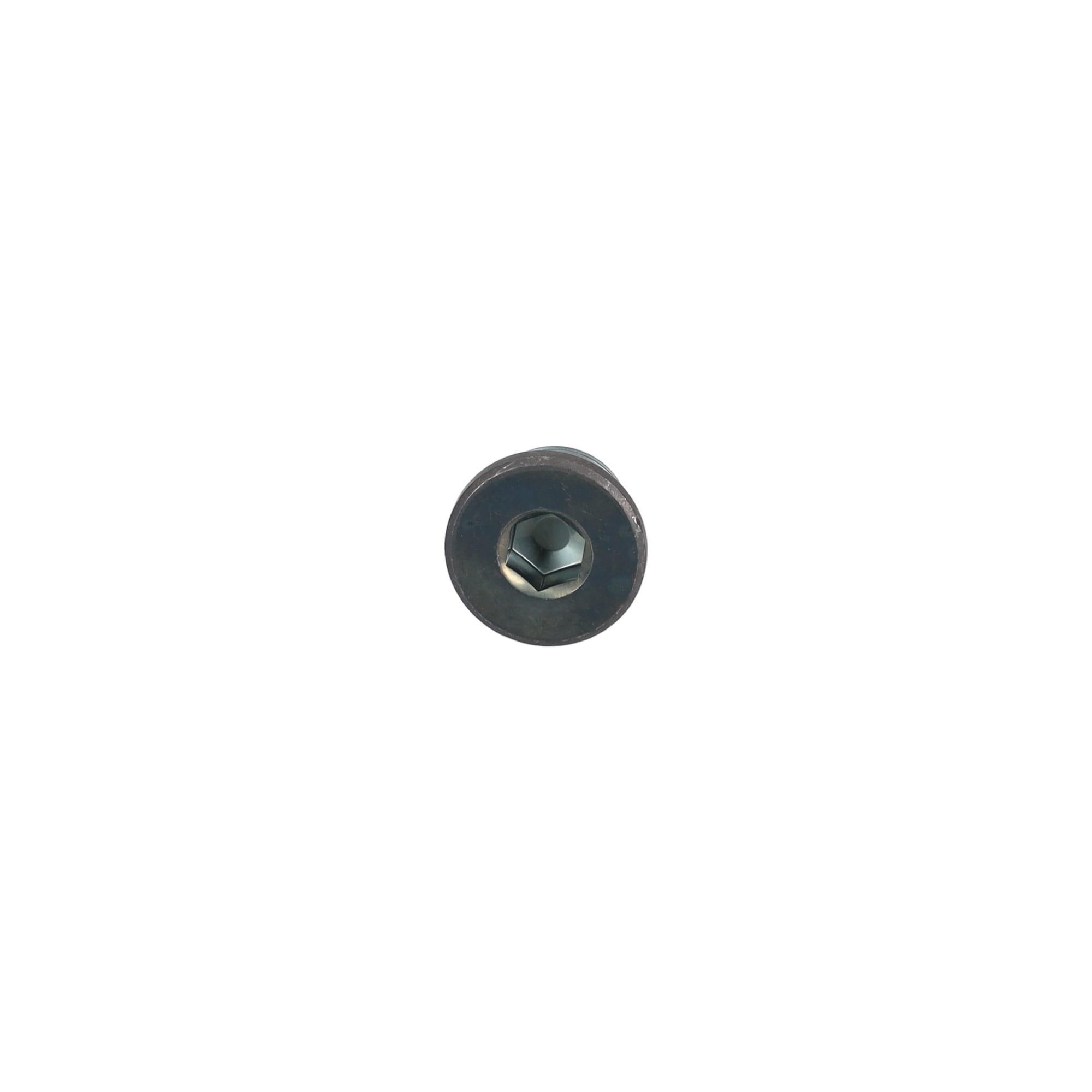 TZ810B2021-00: ЗАГЛУШКА TZ810B202100 купить