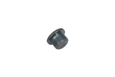 TZ810B2021-00: ЗАГЛУШКА TZ810B202100 купить